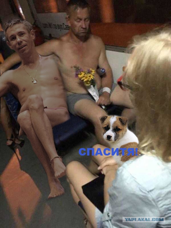 "Невозмутимая пассажирка"