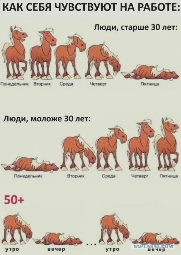 Чутка лайтовой фигни в ленту