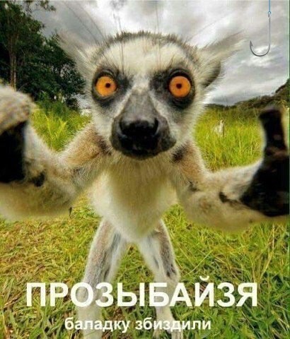 С пятницей