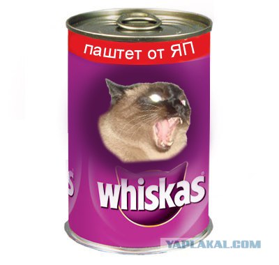 Фотожаба: Что с котэ?