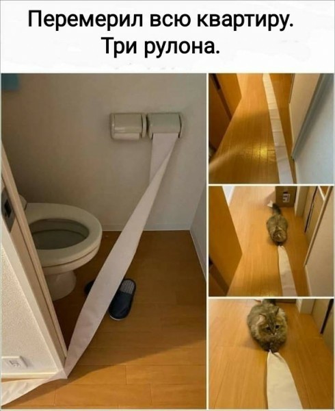Мемасики от Димасика - Часть 5