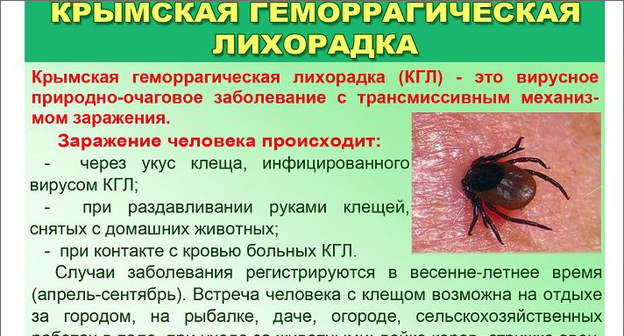 Погулял в лесу
