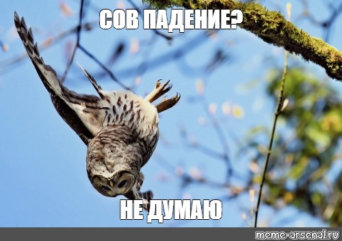 Последнее фото Николы Теслы