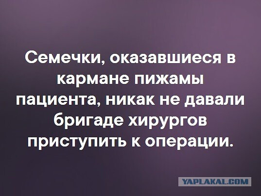 Так себе картинки 07.04.22