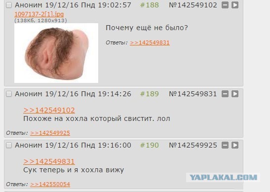 Отзывы, объявления, переписки