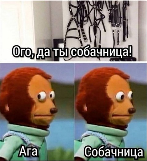 Картинки и мемы для настроения - 119