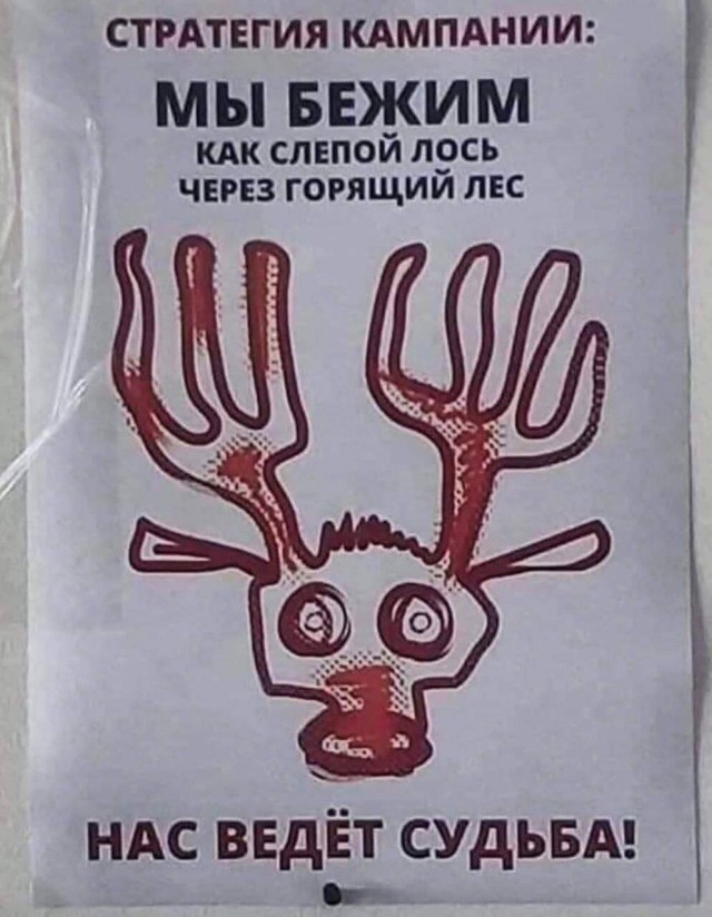 Народная меДИЧина 5023