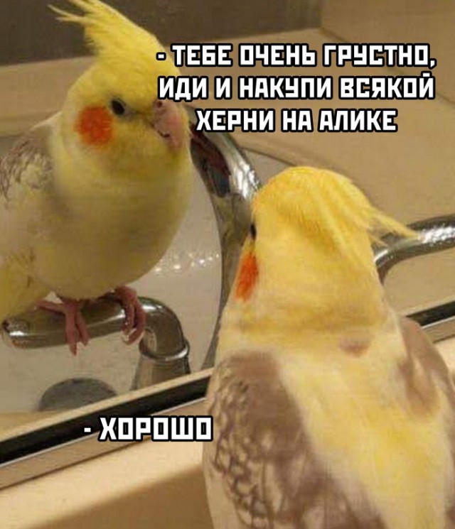Картинки и мемы для настроения - 131
