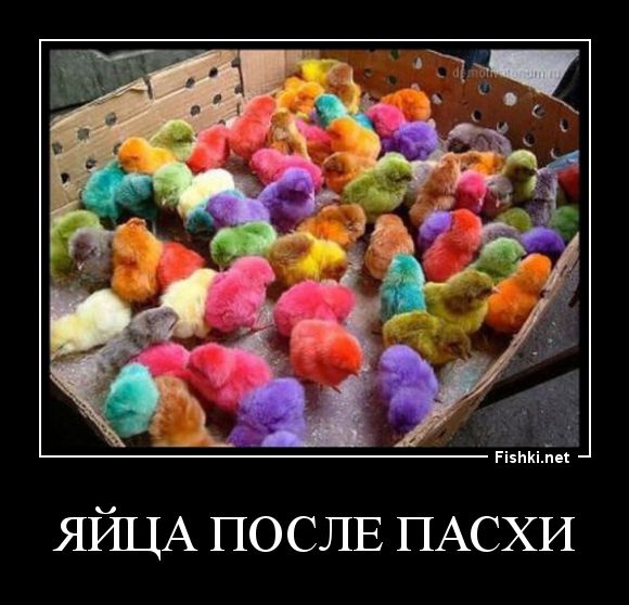 ХВ! ВВ!