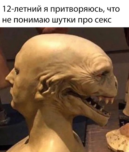 Весёлый полтишок 08.09.23