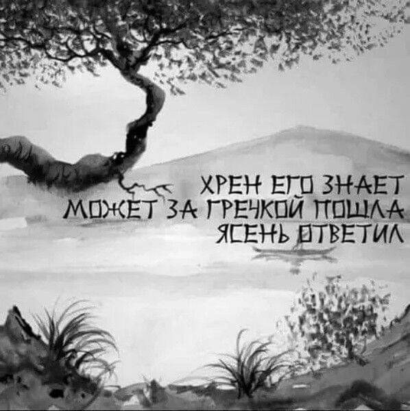 https://s00.yaplakal.com/pics/pics_original/2/9/9/18407992.jpg