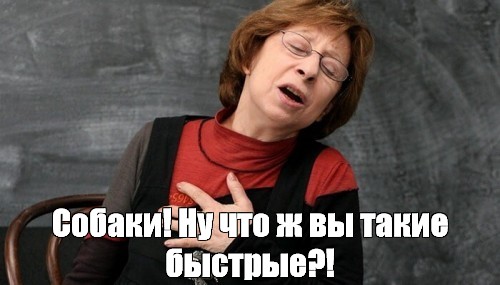 Веселая ферма: Эми прижилась!