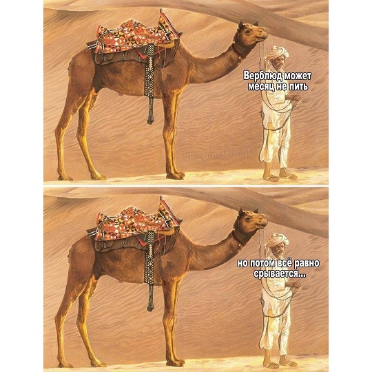 Это потому что я чёрный?