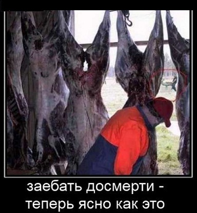 Обосрались в прямом эфире