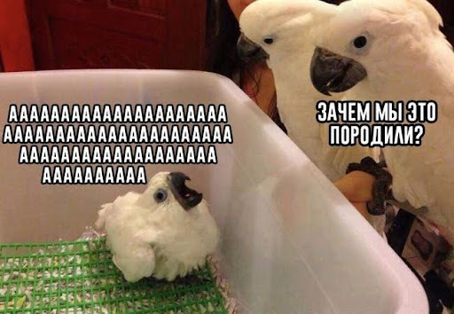 Что вложим, то и пожнём