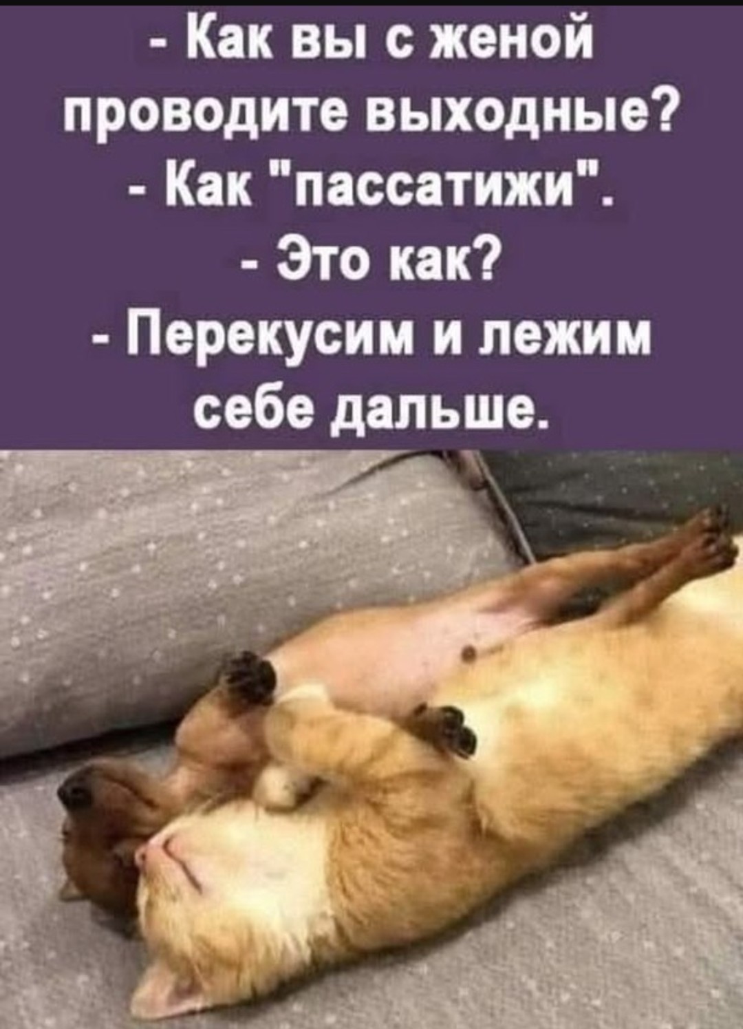 Как не выходной так новый парнишка в сетях Как не выходной так новый парнишка в сетях