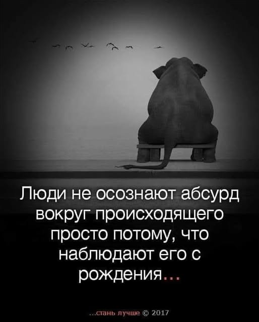 Веселое настроение в картинках (03.10.2025)