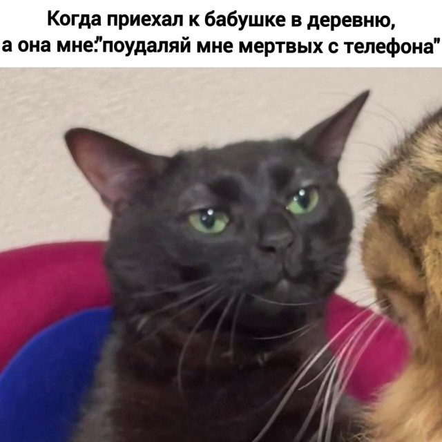 Немного картинок