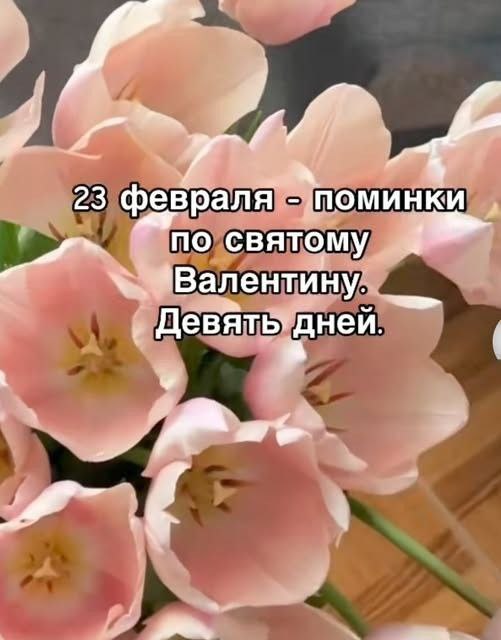 Забавные и не очень скромные картинки - 27