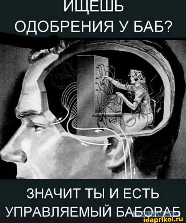 Жена организовала похищение и избиение мужа в Подмосковье