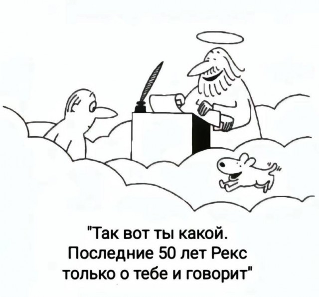 Прощание с верным другом: история о смерти моего пса.