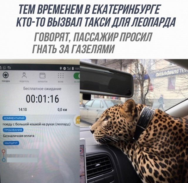 Картиночки, баянчики 16 мая