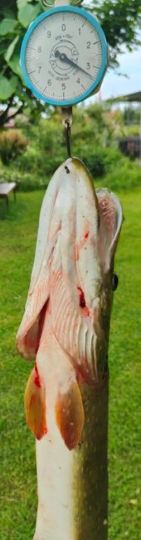 Походу сейчас лучшее вложение - "домик в деревне"