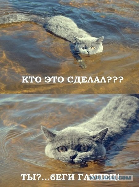 Приколы и маразмы 2