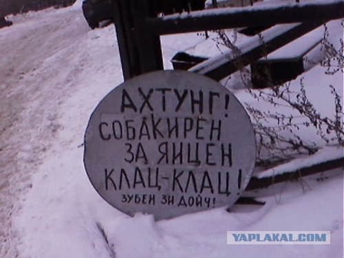 Оригинальное предупреждение на счет собаки