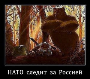 Донецк. Ура  Наши  Снова  Победили!
