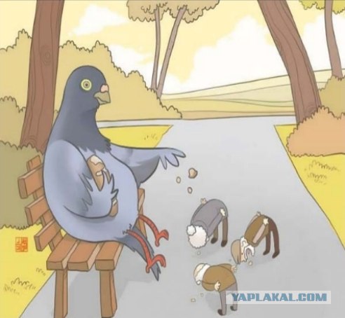 Человекопад