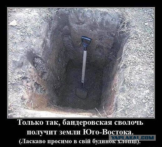 А ты проверил результаты победы Порошенко?