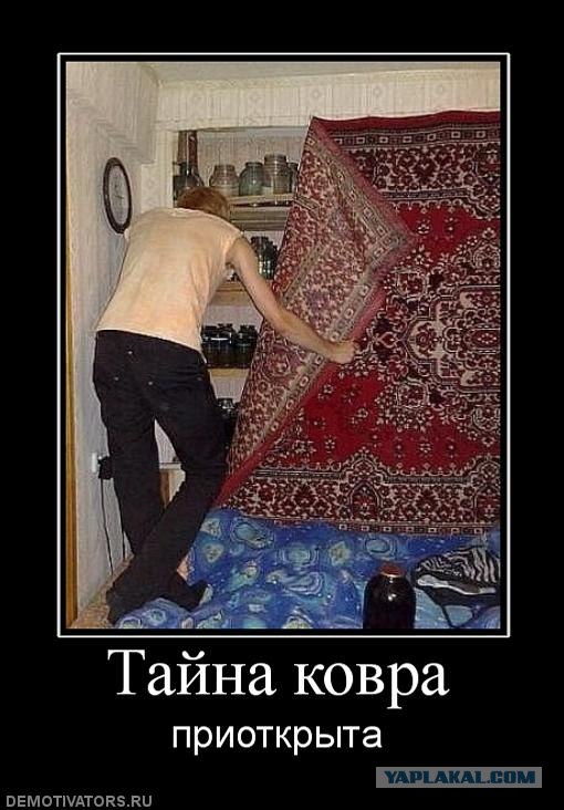 Ковер - наше все