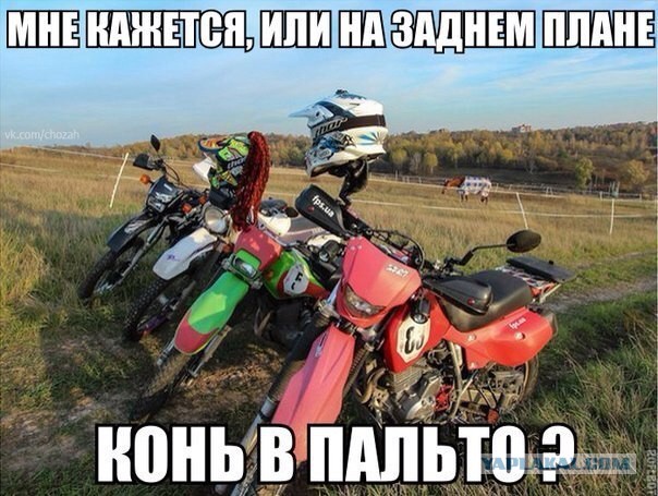 Улыбнуло