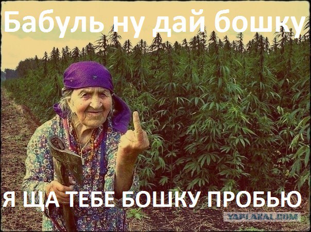 Плюсомет со шпалометом