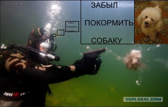 Сборы водолазов-взрывников на Байкале