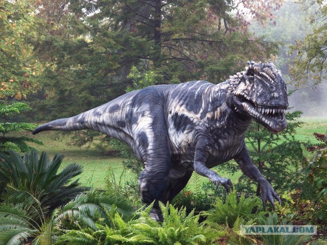 Удивительные открытия в палеонтологии