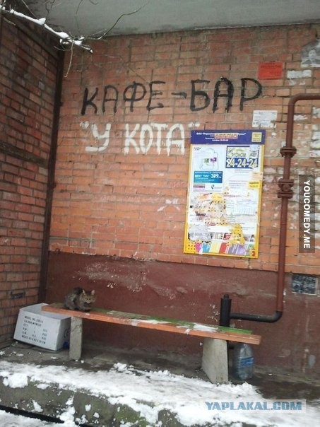Это Россия, детка!