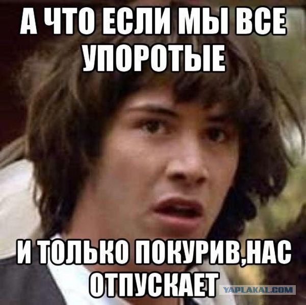 Свободу учителю года!