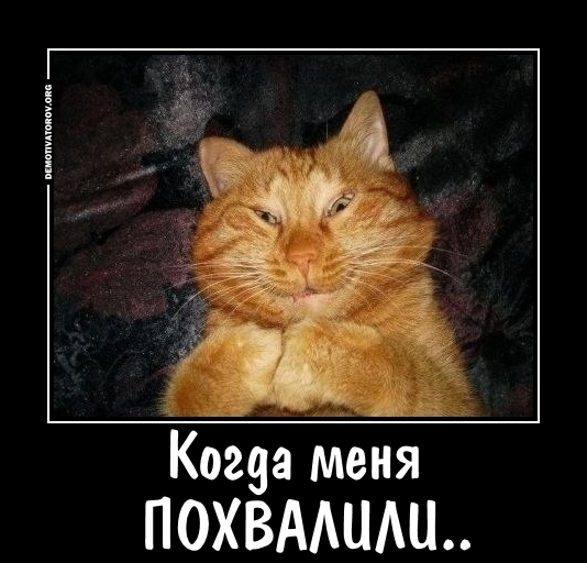 Женские мысли о мужском потребительстве