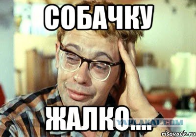 Волк утащил собачку