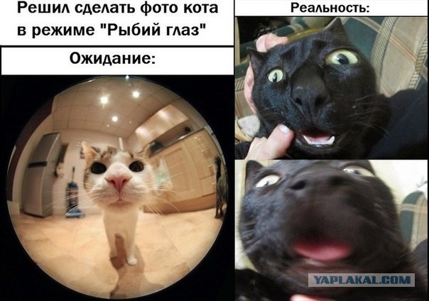 Всем любителям покричать "пора валить"