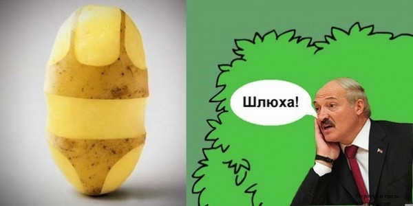 Немного картинок на вторник