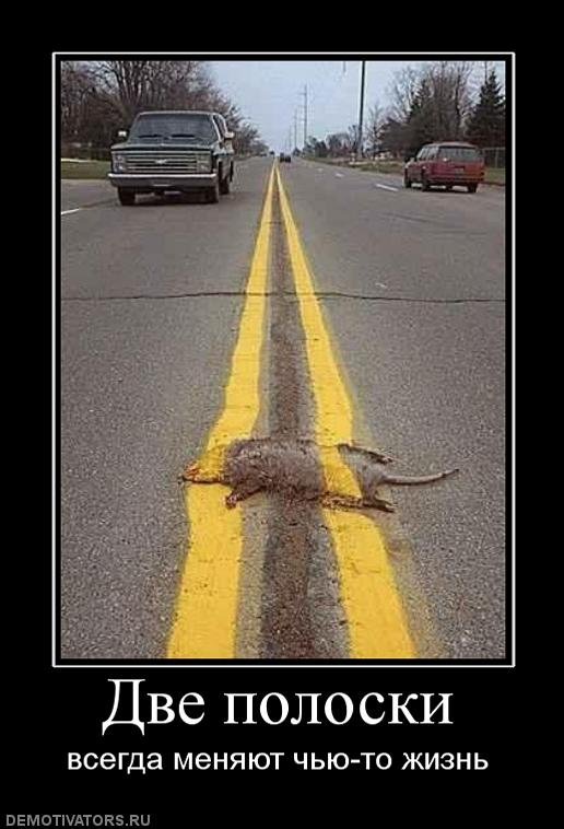 Дорогой, я беременна!