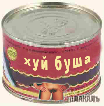 Все о БУШЕ