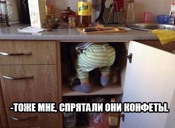 Интересные и веселые картинки