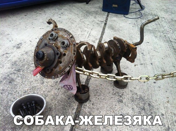 Подборка интересных и веселых картинок