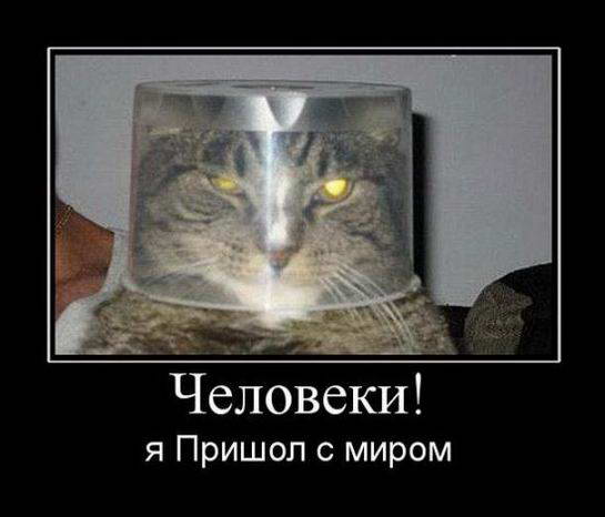 Демотиваторы