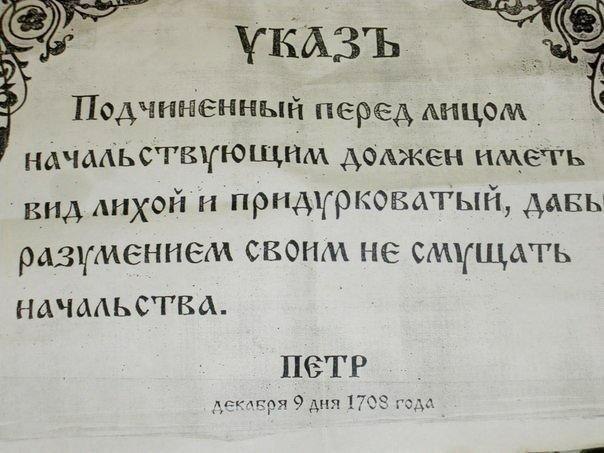 Порция картинок из сети