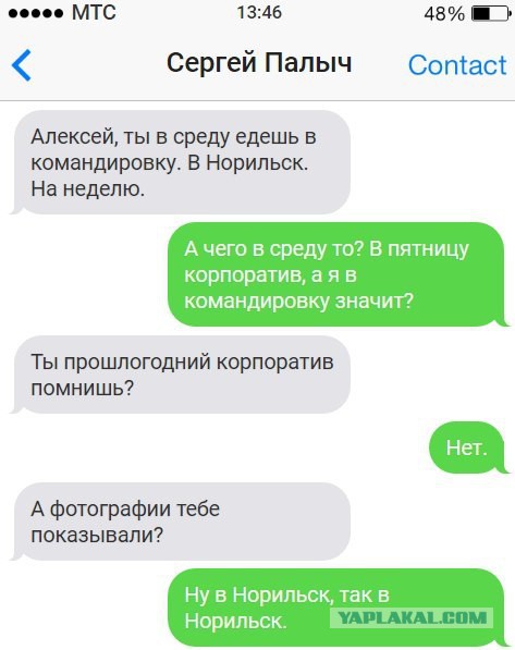 Решили посетить новогодний корпоратив? Одумайтесь, глупцы!